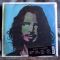 Платівка Кріс Корнел | Chris Cornell – Chris Cornell (2LP)