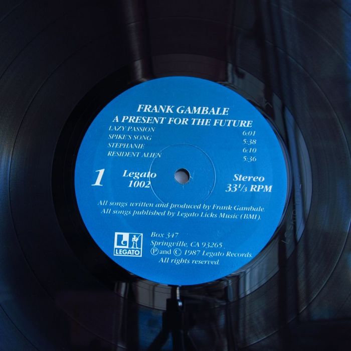 Платівка Френк Ґамбале | Frank Gambale – A Present For The Future