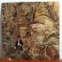 Платівка Дейв Мейсон | Dave Mason – Alone Together