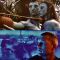 Платівка James Horner – Avatar (Music From The Motion Picture)|Джеймс Хорнер-Аватар:музика з фільму(2xLP)