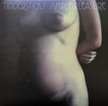 Платівка Tindersticks – Simple Pleasure|Тіндерстік(2xLP)