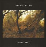 Платівка Lubomyr Melnyk – Fallen Trees|Любомир Мельник-Повалені дерева
