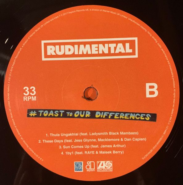 Платівка Rudimental – Toast to our Differences|Рудиментальний(2xLP)