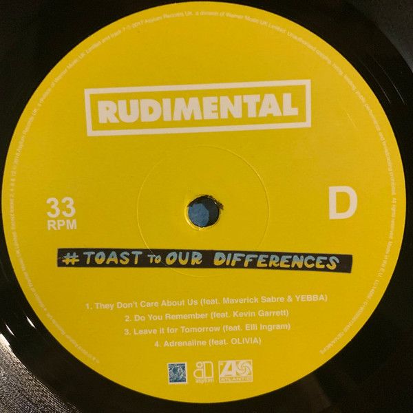 Платівка Rudimental – Toast to our Differences|Рудиментальний(2xLP)
