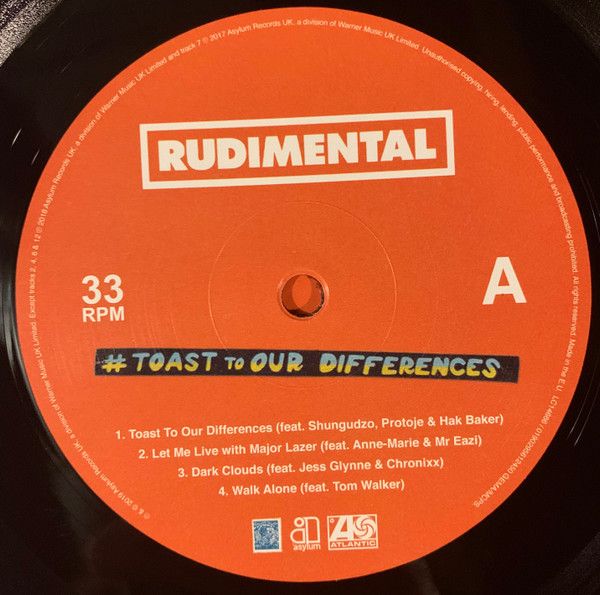 Платівка Rudimental – Toast to our Differences|Рудиментальний(2xLP)