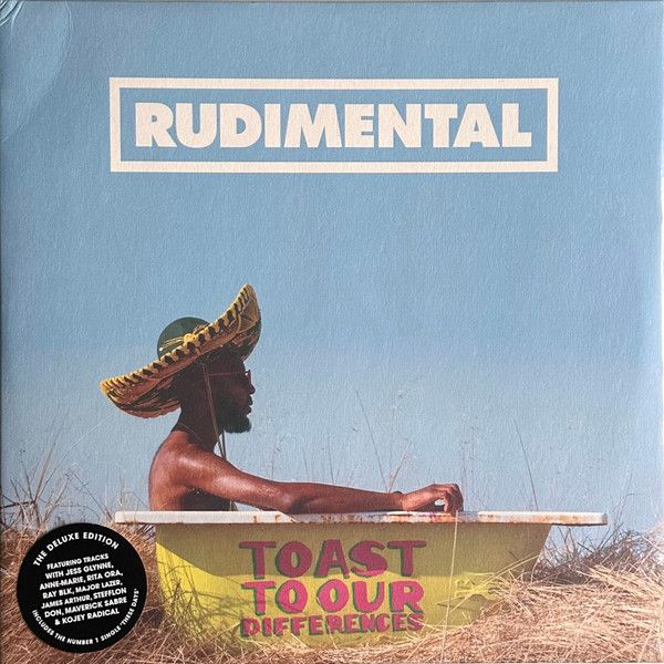 Платівка Rudimental – Toast to our Differences|Рудиментальний(2xLP)