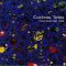 Платівка  Cocteau Twins – Four-Calendar Café|Близнюки Кокто