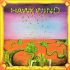 Платівка Hawkwind – Hawkwind|Яструбиний вітер-Яструбиний вітер