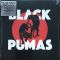 Платівка Black Pumas – Black Pumas|Чорні пуми