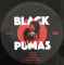 Платівка Black Pumas – Black Pumas|Чорні пуми