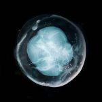 Платівка A Winged Victory For The Sullen – The Undivided Five|Крилата перемога для похмурих-Нероздільна п'ятірка