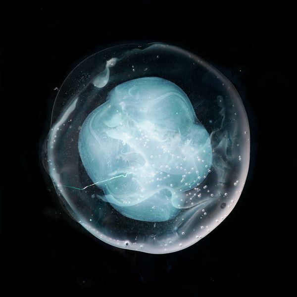 Платівка A Winged Victory For The Sullen – The Undivided Five|Крилата перемога для похмурих-Нероздільна п'ятірка