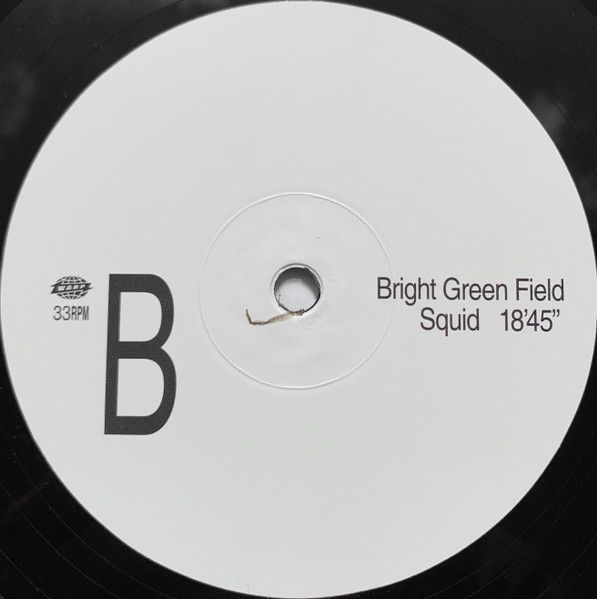 Платівка Squid – Bright Green Field|Кальмари-Яскраве зелене поле(2xLP)