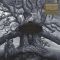 Платівка Mastodon – Hushed And Grim (2LP, Limited Edition, Clear)|Мастодонт