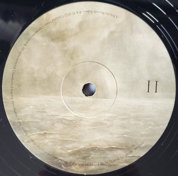 Платівка Florence + The Machine – Dance Fever|Флоренс і машина-Танцювальна лихоманка(2xLP)