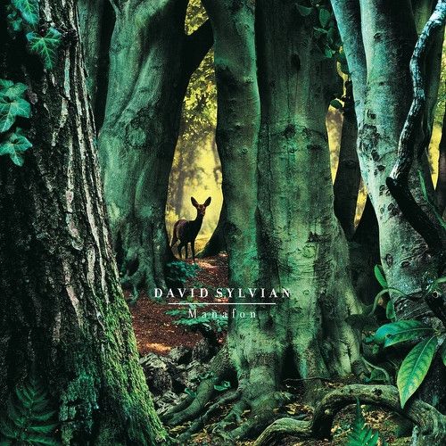 Платівка David Sylvian – Manafon|Девід Сільвіан-Манафон(2xLP)