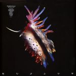 Платівка Sub Focus – Evolve|Додатковий фокус-Еволюція(2xLP)