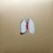 Платівка Swans – The Beggar|Лебеді-Жебрак(2xLP)