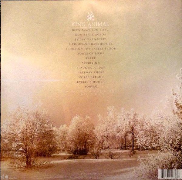 Платівка Soundgarden – King Animal|Звук саду-Король тварин(2xLP)