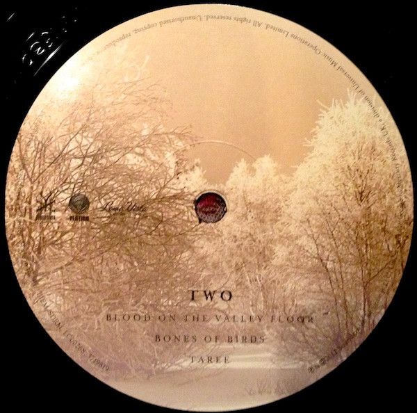 Платівка Soundgarden – King Animal|Звук саду-Король тварин(2xLP)