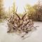 Платівка Soundgarden – King Animal|Звук саду-Король тварин(2xLP)