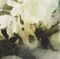 Платівка Soundgarden – King Animal|Звук саду-Король тварин(2xLP)