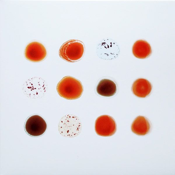 Платівка Peter Gabriel – Scratch My Back / And I'll Scratch Yours|Пітер Габріель(2xLP)