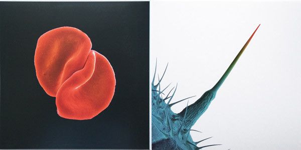 Платівка Peter Gabriel – Scratch My Back / And I'll Scratch Yours|Пітер Габріель(2xLP)