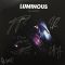 Платівка The Horrors – Luminous|Жахи(2xLP)