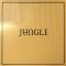 Платівка Jungle – For Ever|Джунглі-Назавжди