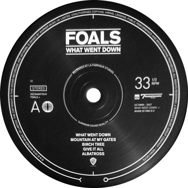 Платівка Foals – What Went Down|Лошата-Що впало