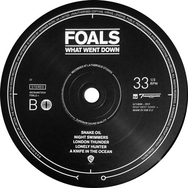 Платівка Foals – What Went Down|Лошата-Що впало