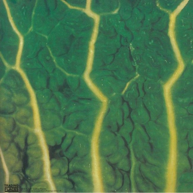 Catapilla – Changes (45 RPM, Reissue Vinyl)