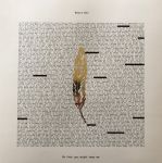 Bear's Den – So That You Might Hear Me (Vinyl)