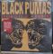 Платівка Black Pumas – Chronicles Of A Diamond (2xLP,Red Cloudy Vinyl)|Чорні пуми-Хроніки Алмазу