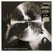 The Breeders – All Nerve (Vinyl)