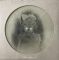 Current 93 – The Light Is Leaving Us All (LP, Album, Limited Edition, Picture Disc Vinyl)