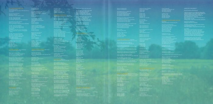 Платівка Robert Plant | Alison Krauss – Raise The Roof|Роберт Плант і Елісон Краусс-Підніміть дах(2xLP,Yellow Vinyl)