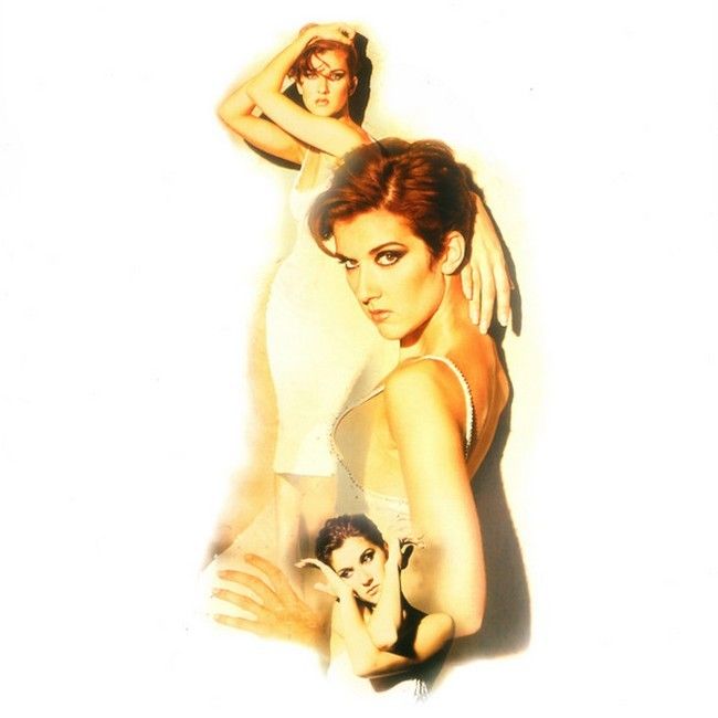 Celine Dion – Falling Into You (Vinyl)