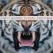 Платівка 30 Seconds To Mars – This Is War|30 секунд до Марса-Це війна(2xLP + CD)