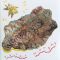 Платівка Peter Murphy – Should The World Fail To Fall Apart|Пітер Мерфі-Якщо світ не розвалиться