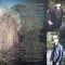 Black Stone Cherry – Family Tree (Vinyl)