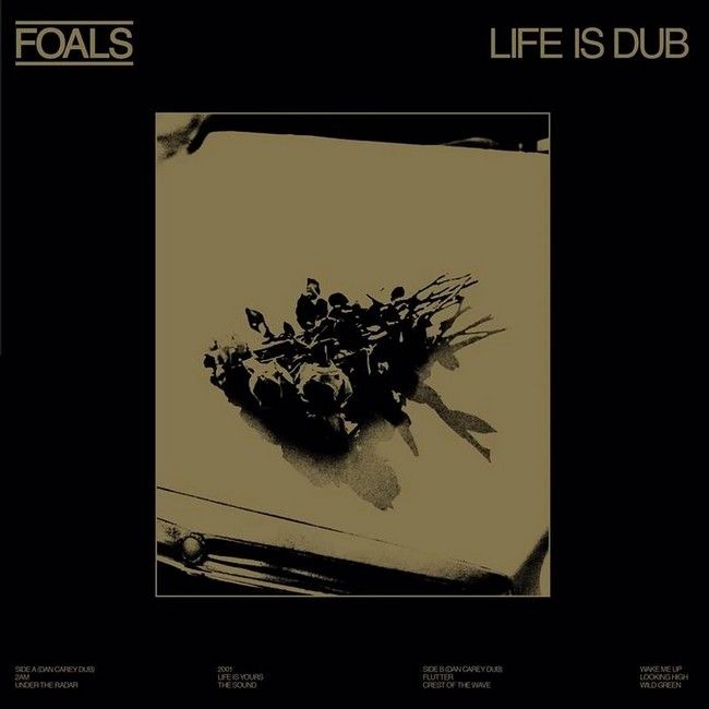 Платівка Foals – Life Is Dub|Лошата-Життя - це дуб