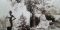 Taylor Swift – Folklore (2LP, Album, Deluxe Edition, Brown "In The Trees", Vinyl)