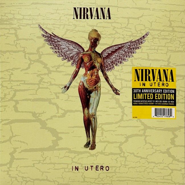 Nirvana – In Utero (2LP, Album, Reissue, 180g, Gatefold, Limited Edition, Remastered, 30th Anniversary, Vinyl)