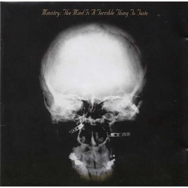 Ministry – The Mind Is A Terrible Thing To Taste (LP, Album, Reissue, Vinyl)