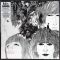 The Beatles – Revolver (5LP, EP, Box-Set, Album, 180g, Vinyl)