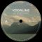 Kodaline – In A Perfect World (LP, Album, Limited Edition, Gatefold, Vinyl)