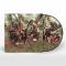 Current 93 – Earth Covers Earth (LP, Album, Limited Edition, Picture Disc, Reissue, Remastered, Vinyl)