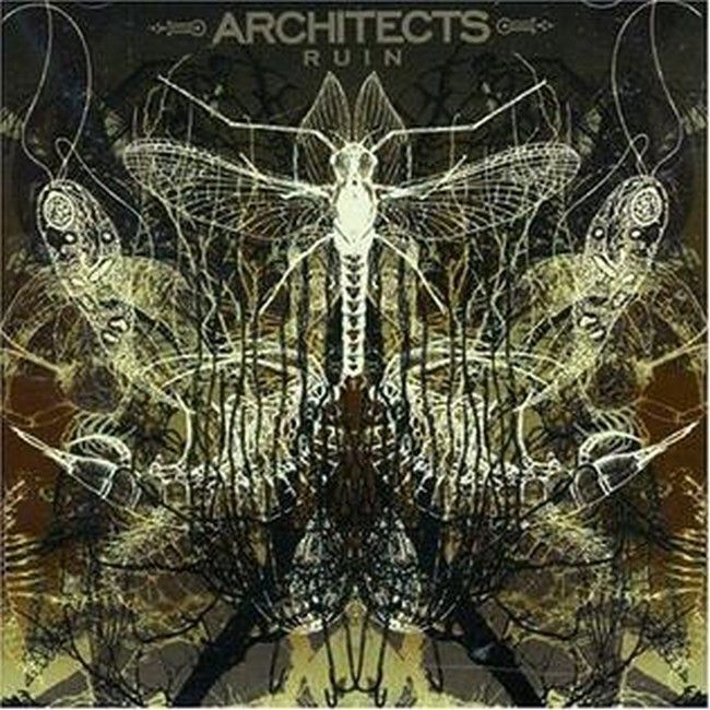 Платівка Architects – Ruin(LP, Album, Reissue, Vinyl)|Архітектори-Руїни